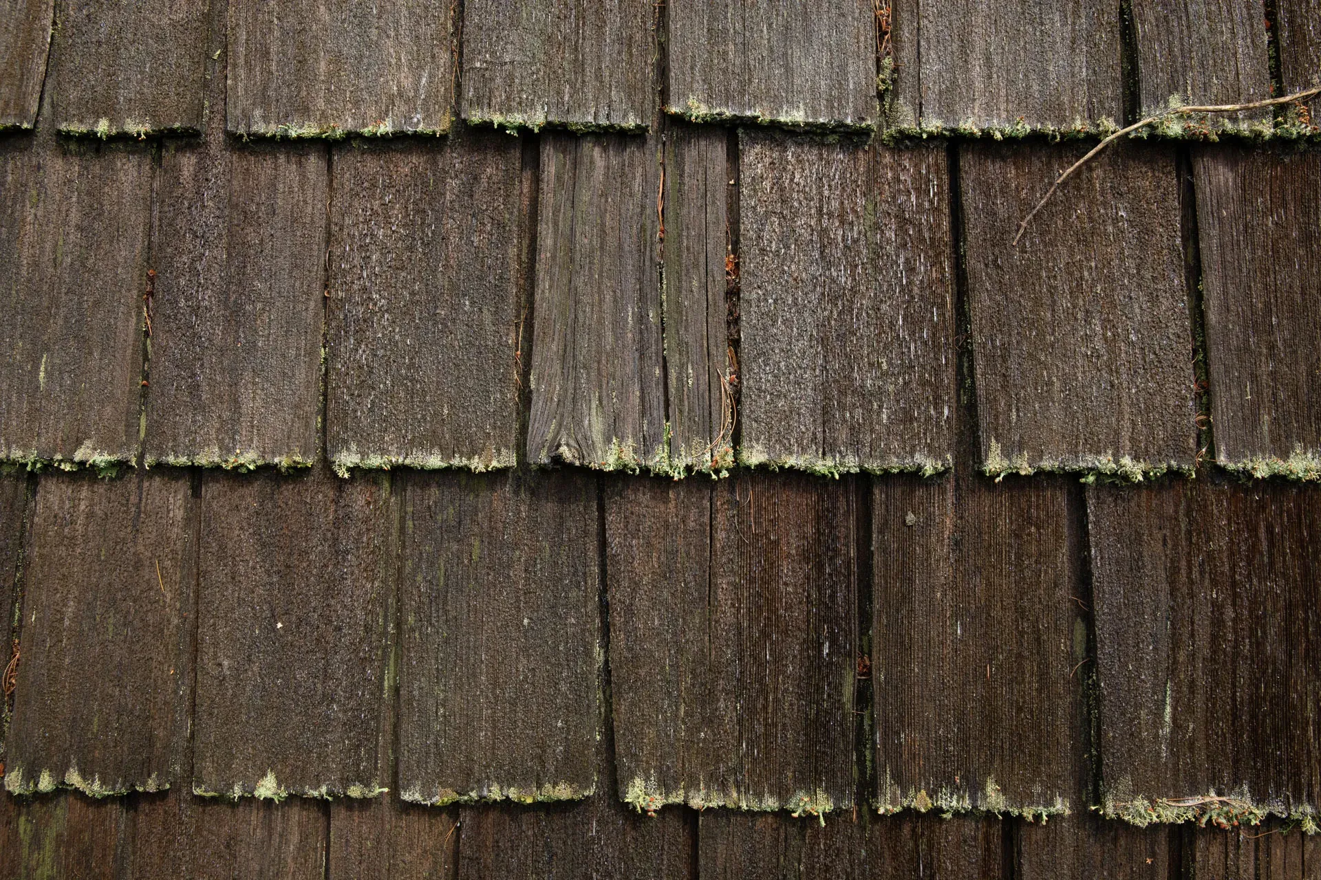 Power & Soft Washing project