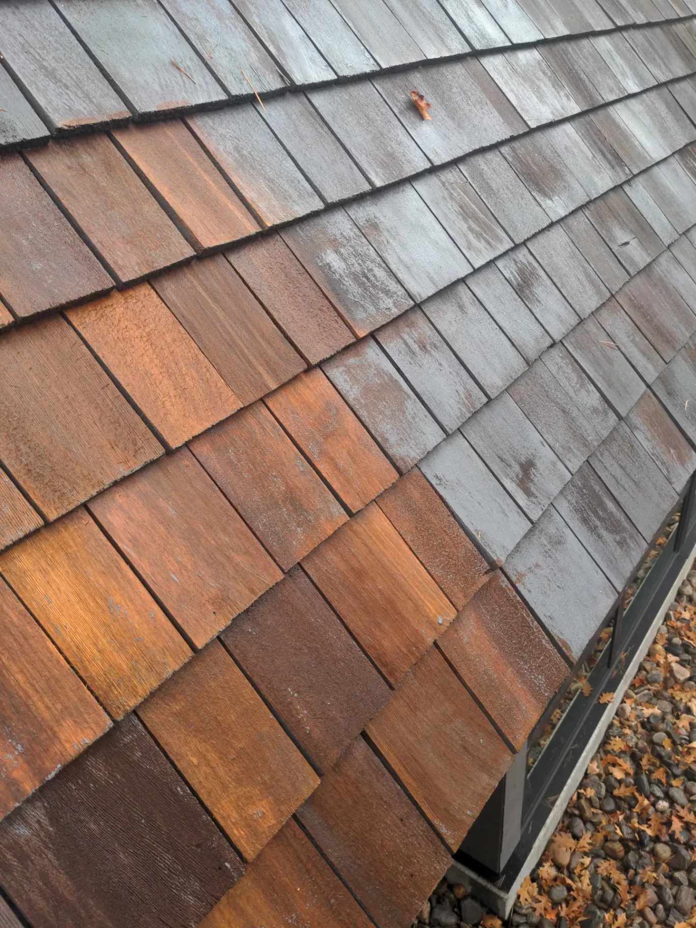 Cedar shingle roof after soft wash treatment in Muskoka