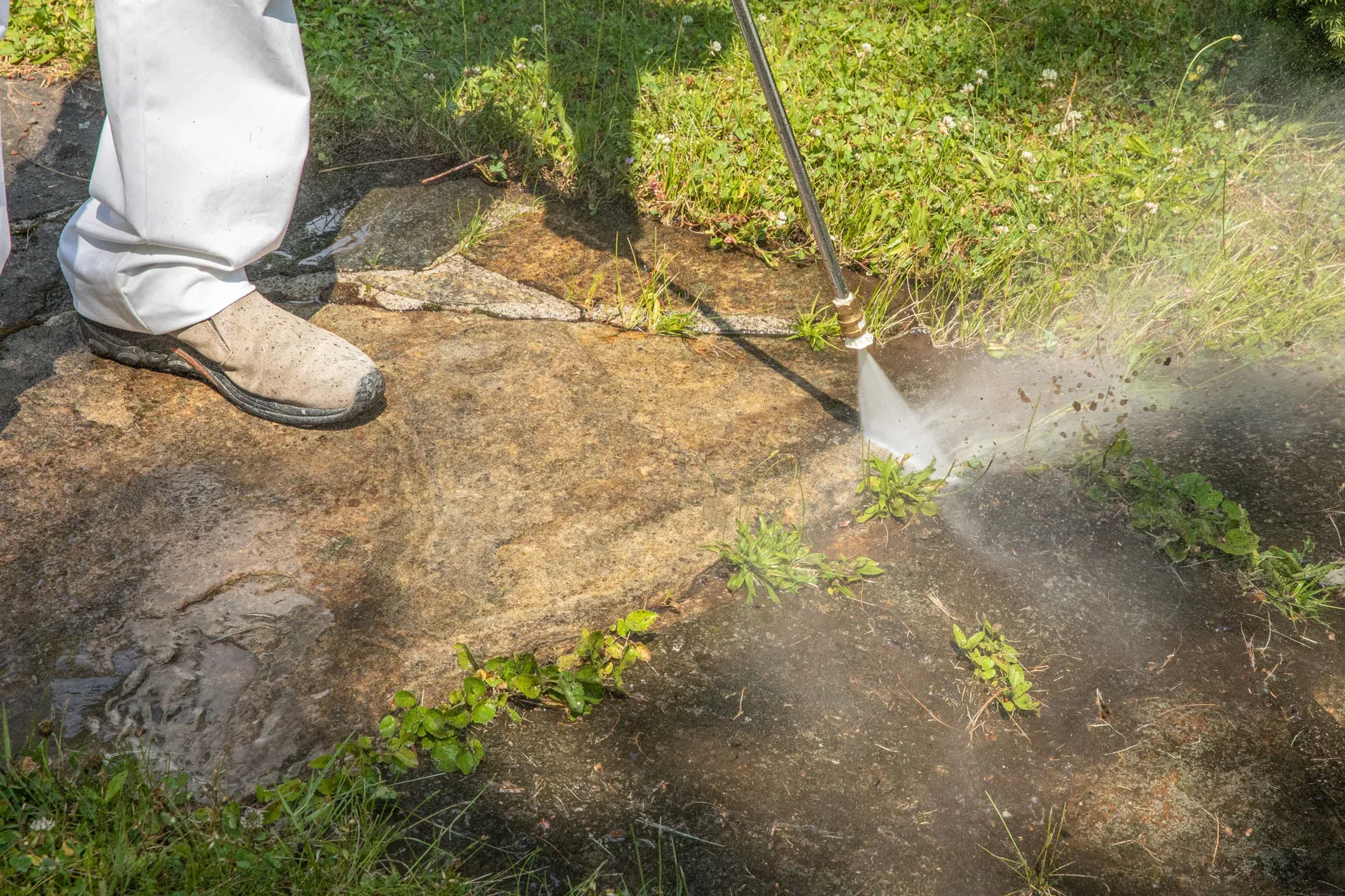 Power & Soft Washing project
